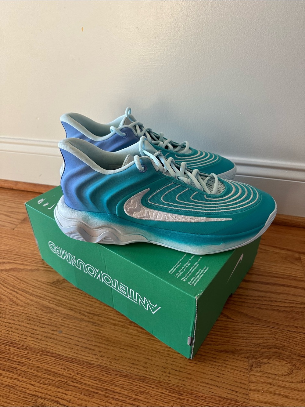 New Giannis Immortality 4 Dusty Cactus/White-Royal Pulse size 10.5